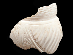 Shell image